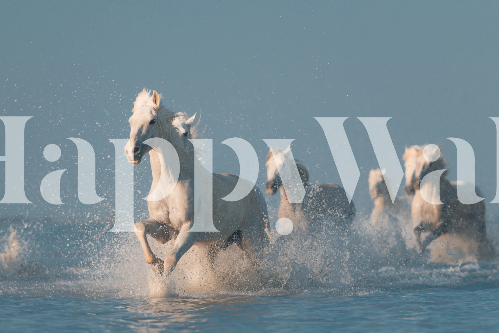 Wallpaper depicting horses in water