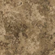 Subtle Moss Texture Sepia Brown