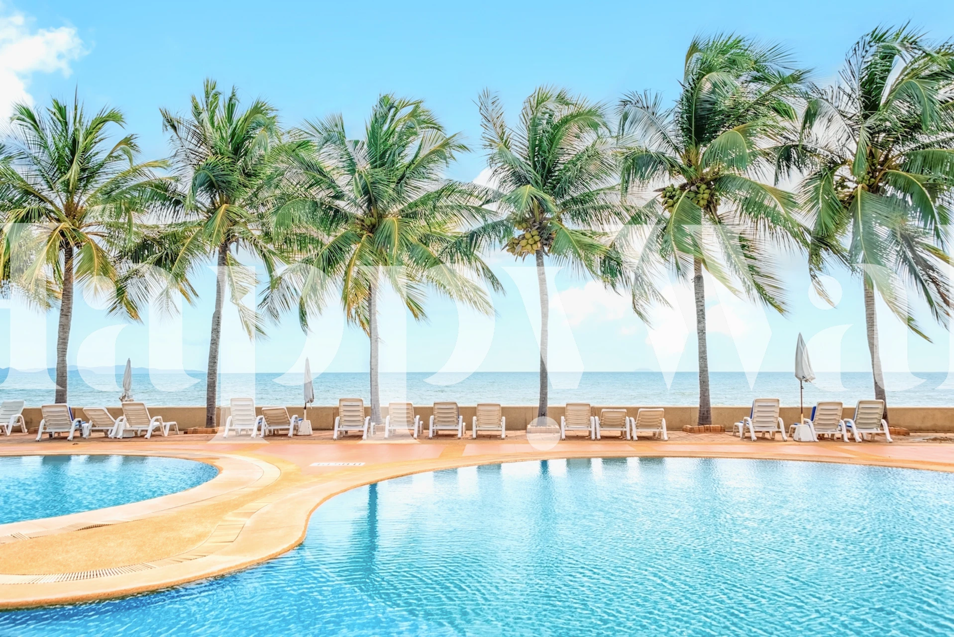 Tropical palm trees lining a bright blue pool under a clear sky wallpaper