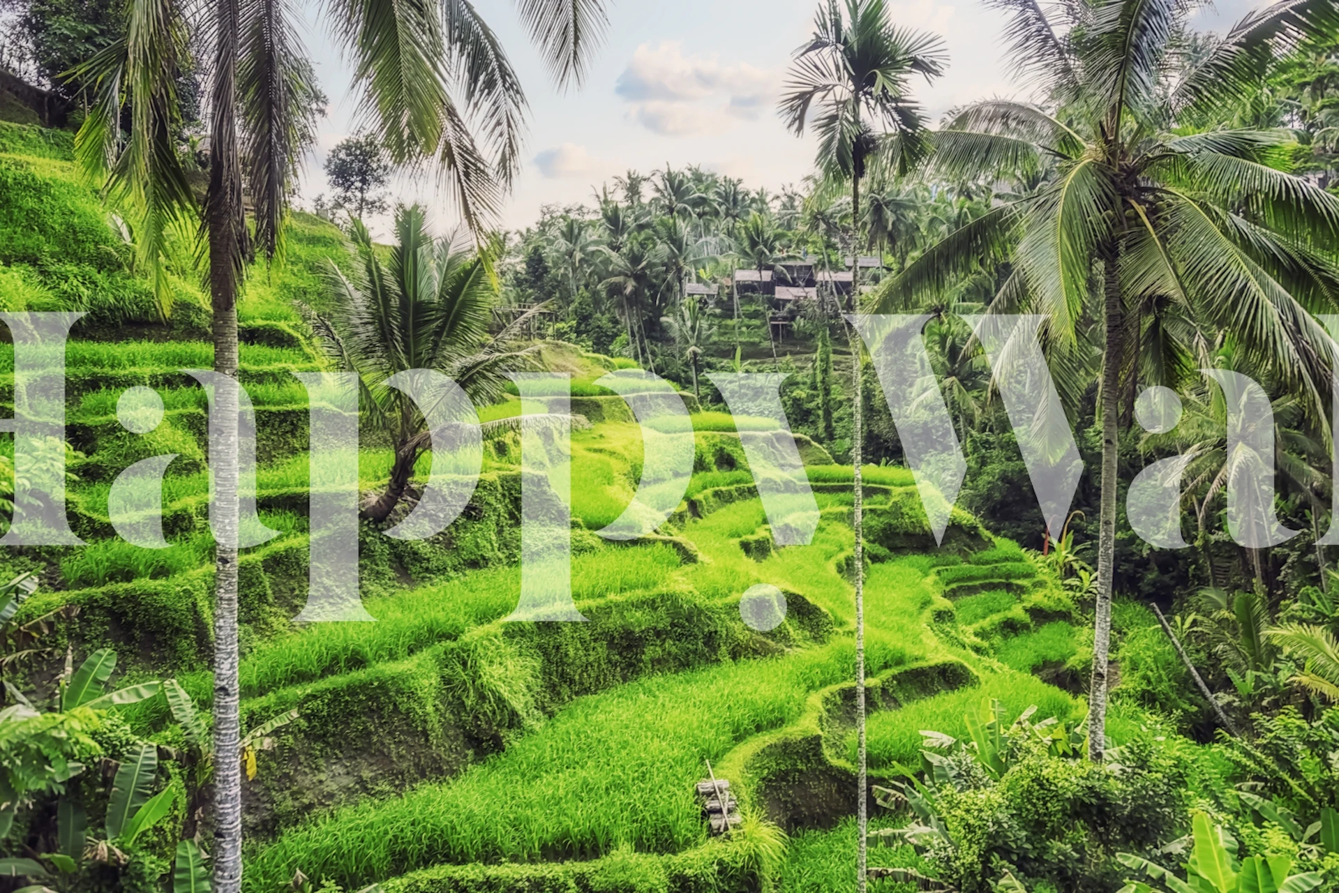 Lush green rice terraces with tropical palm trees wallpaper