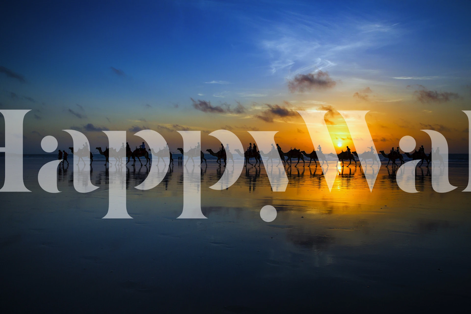 Camel ride at sunset wallpaper in a room