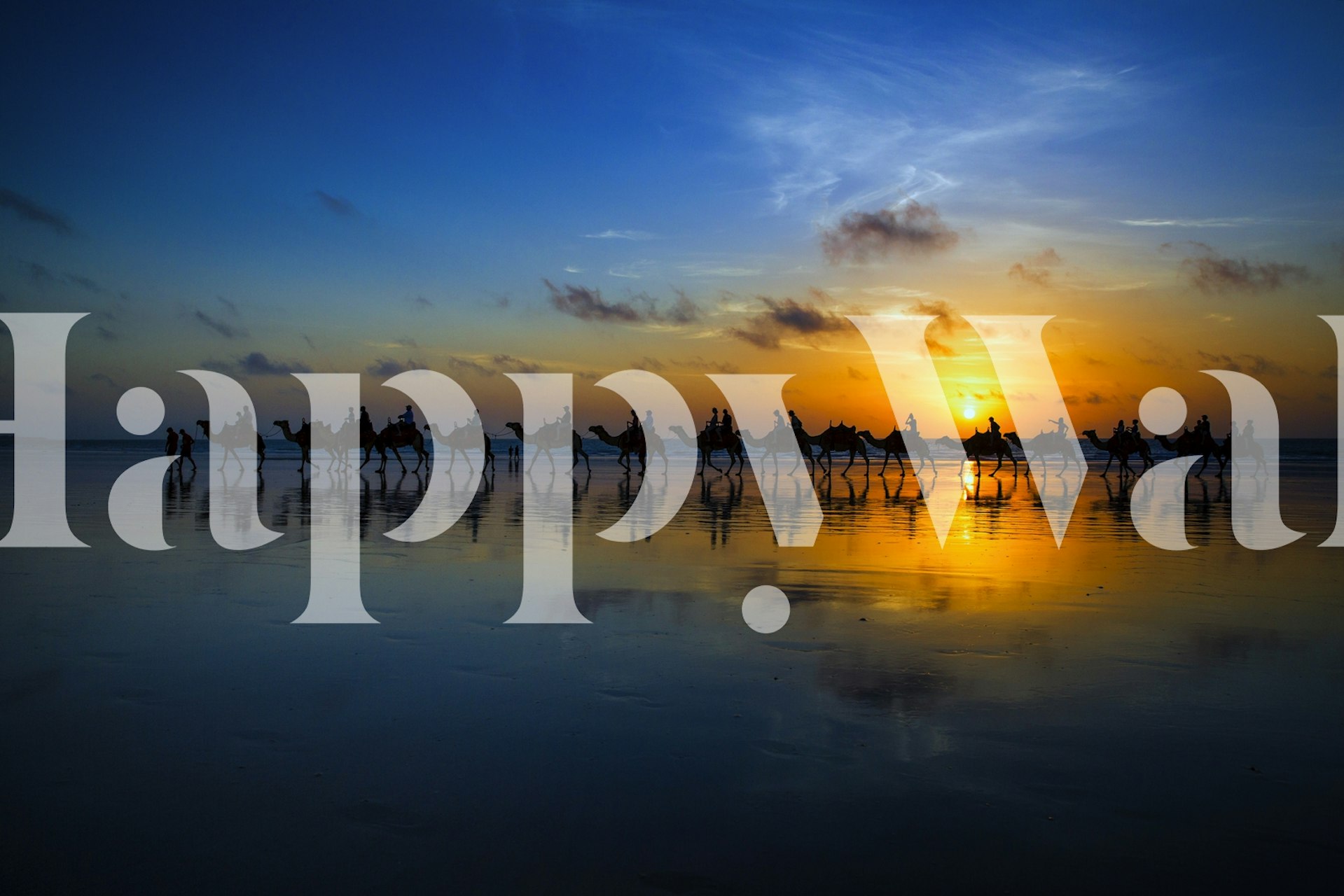 Camel ride at sunset wallpaper in a room