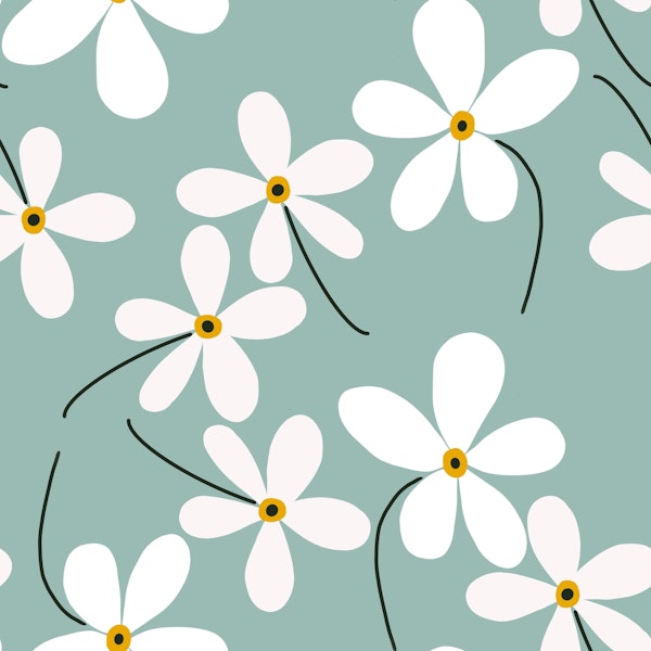 Spring Daisy Flower Pattern 1