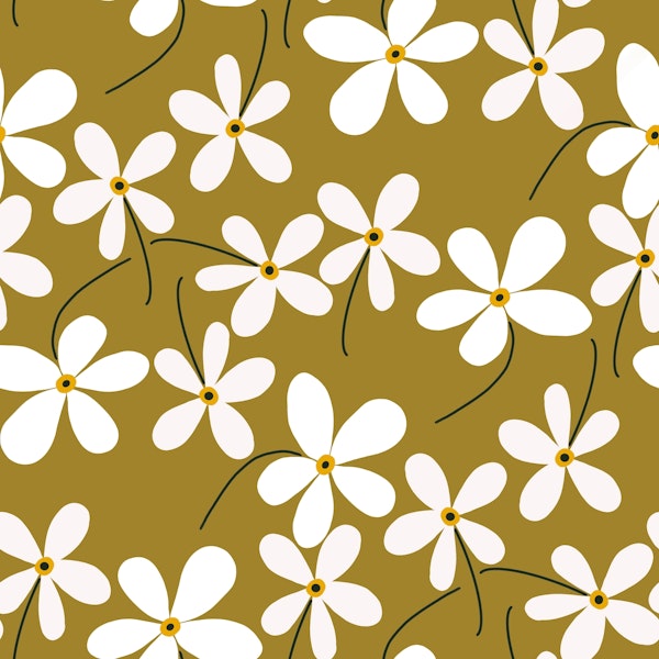 Spring Daisy Flower Pattern 2