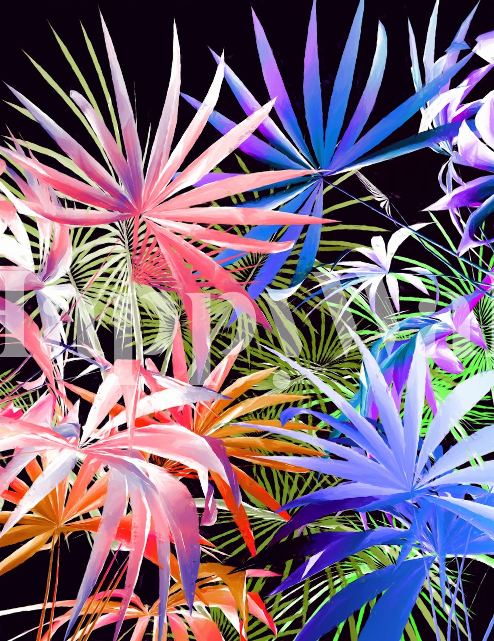 Vibrant tropical leaves in pink, blue, and green on black wallpaper
