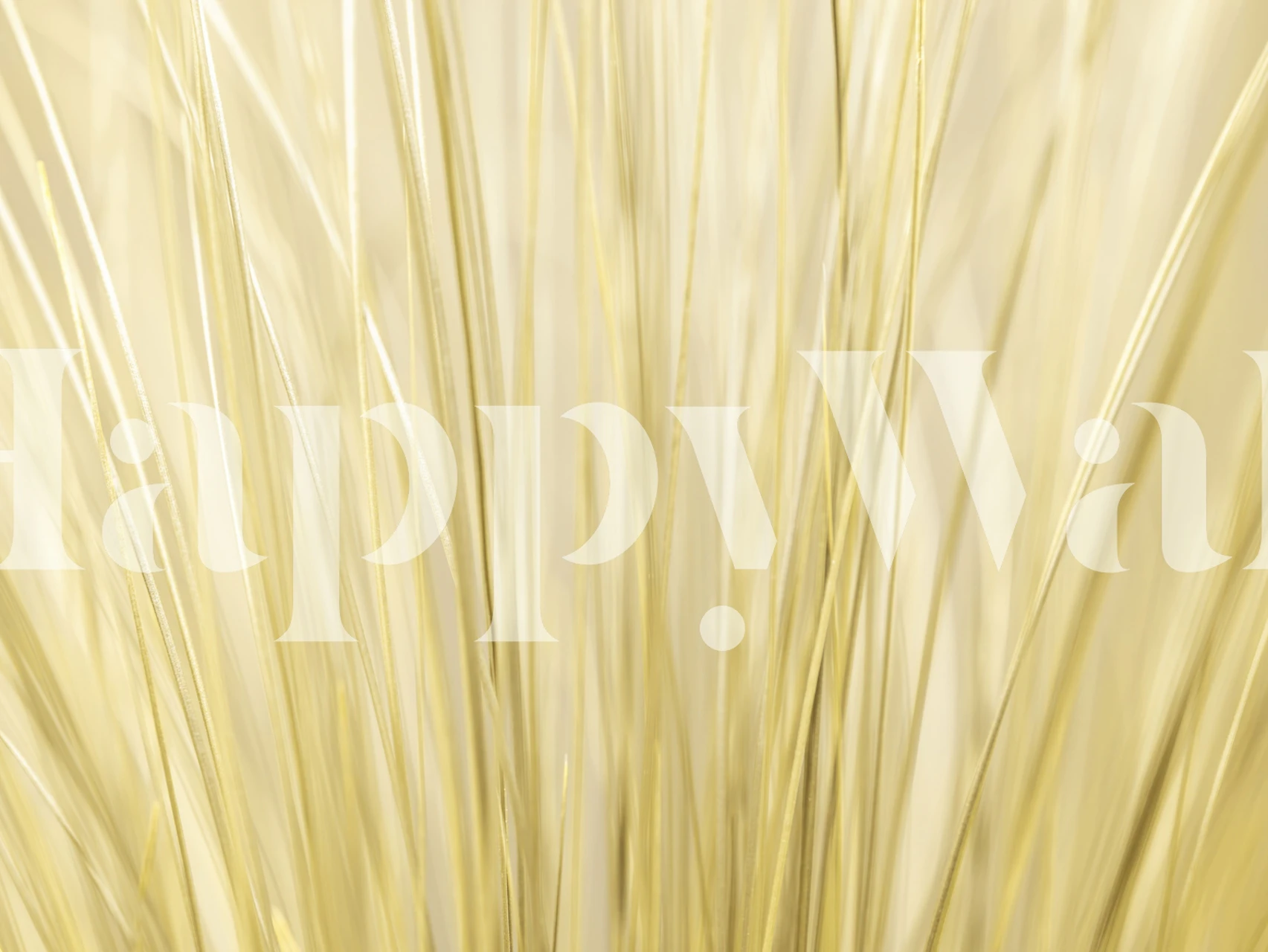 Light yellow grass texture wallpaper, minimalist style
