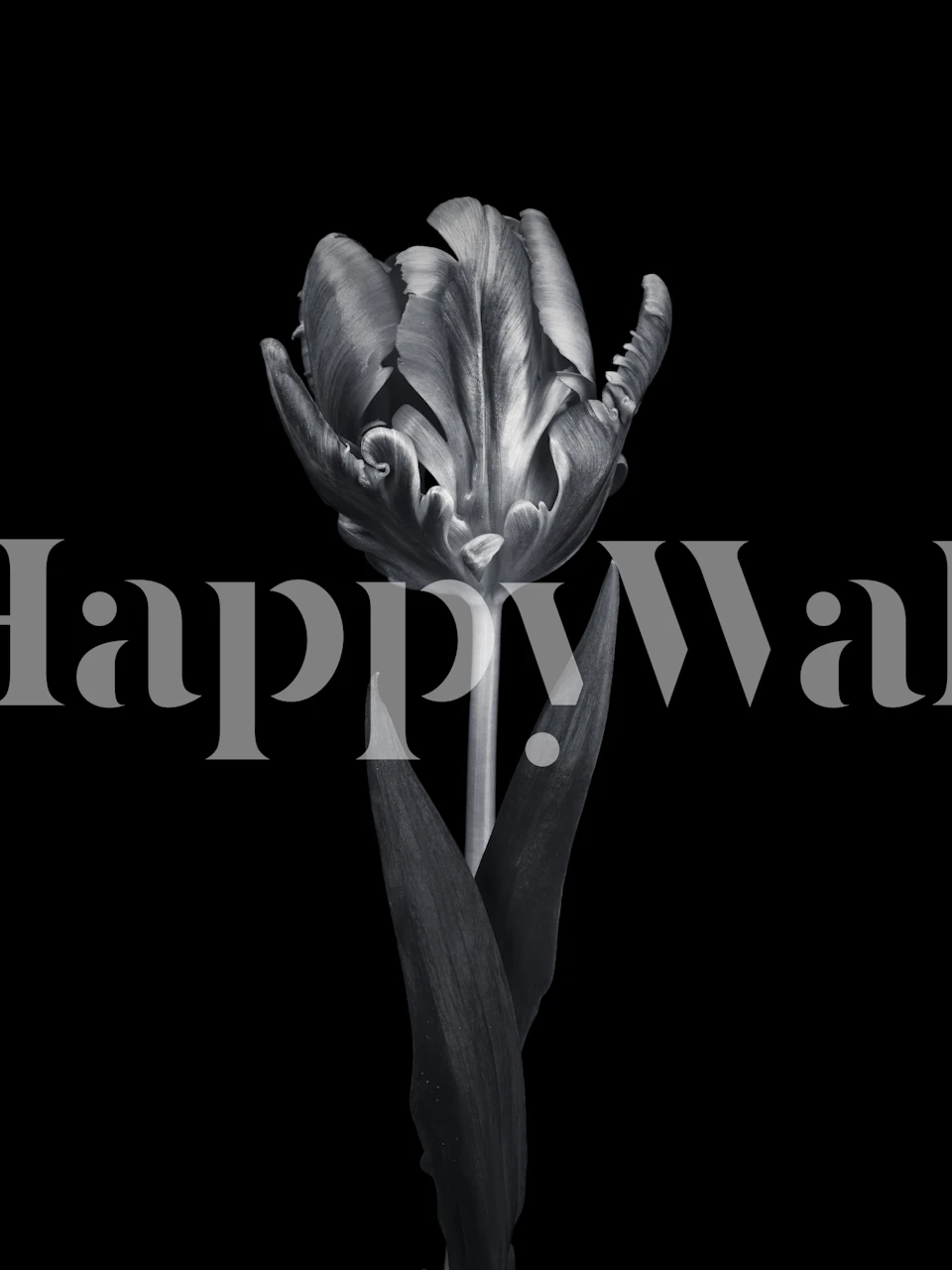 Carta da parati Rcoco Tulip esposta in una stanza