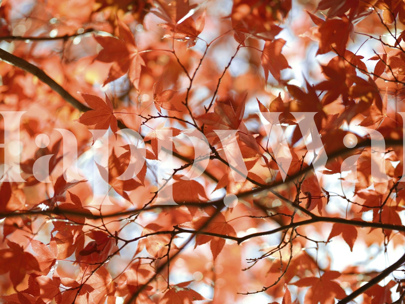 Design de papel de parede Autumn Vibrant Leaves em um quarto
