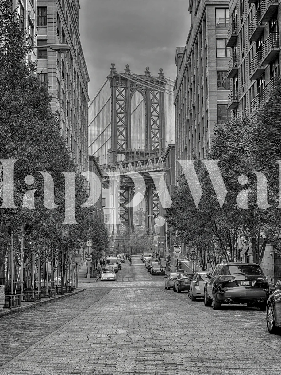 Curated visual reference: Picture Idea: Buy Manhattan Bridge From Dumbo Wallpaper