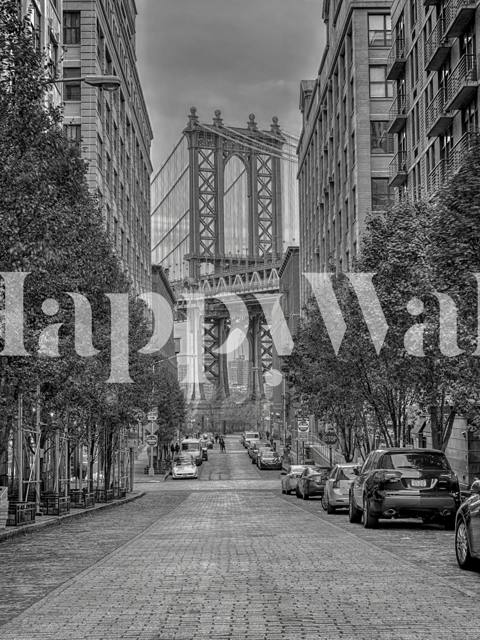 Manhattan Bridge from Dumbo Tapete in einem Raum
