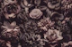 Opulent Baroque Flowers Moody Botany Brown