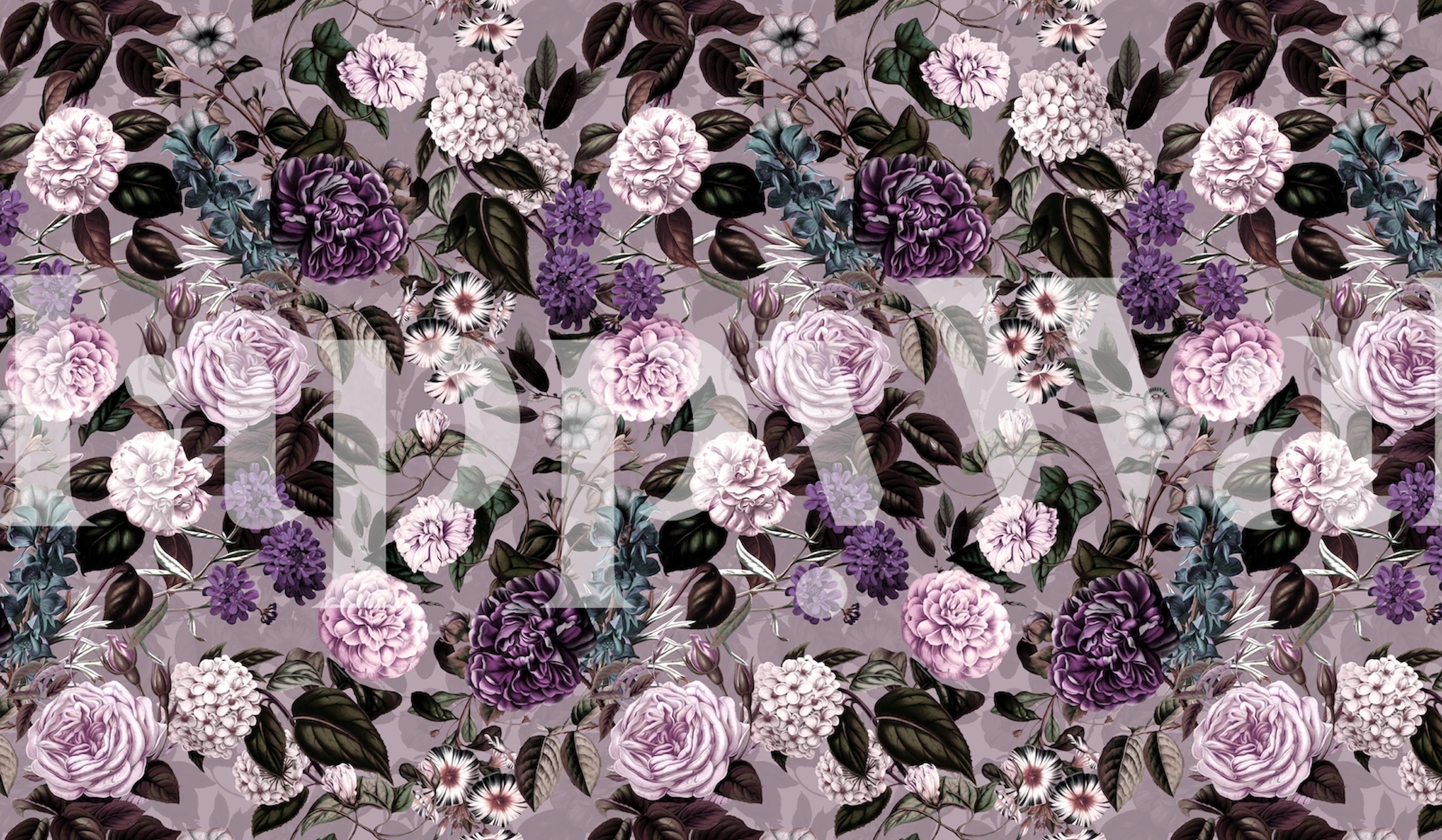 Gothic Dreams II wall mural with dark purple and lavender roses on a moody background