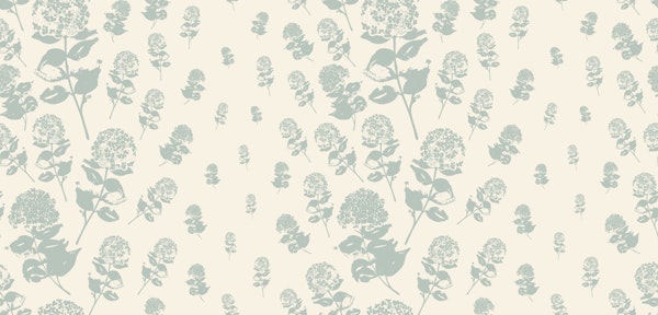 Hydrangeas flowers in waves - cream + gray