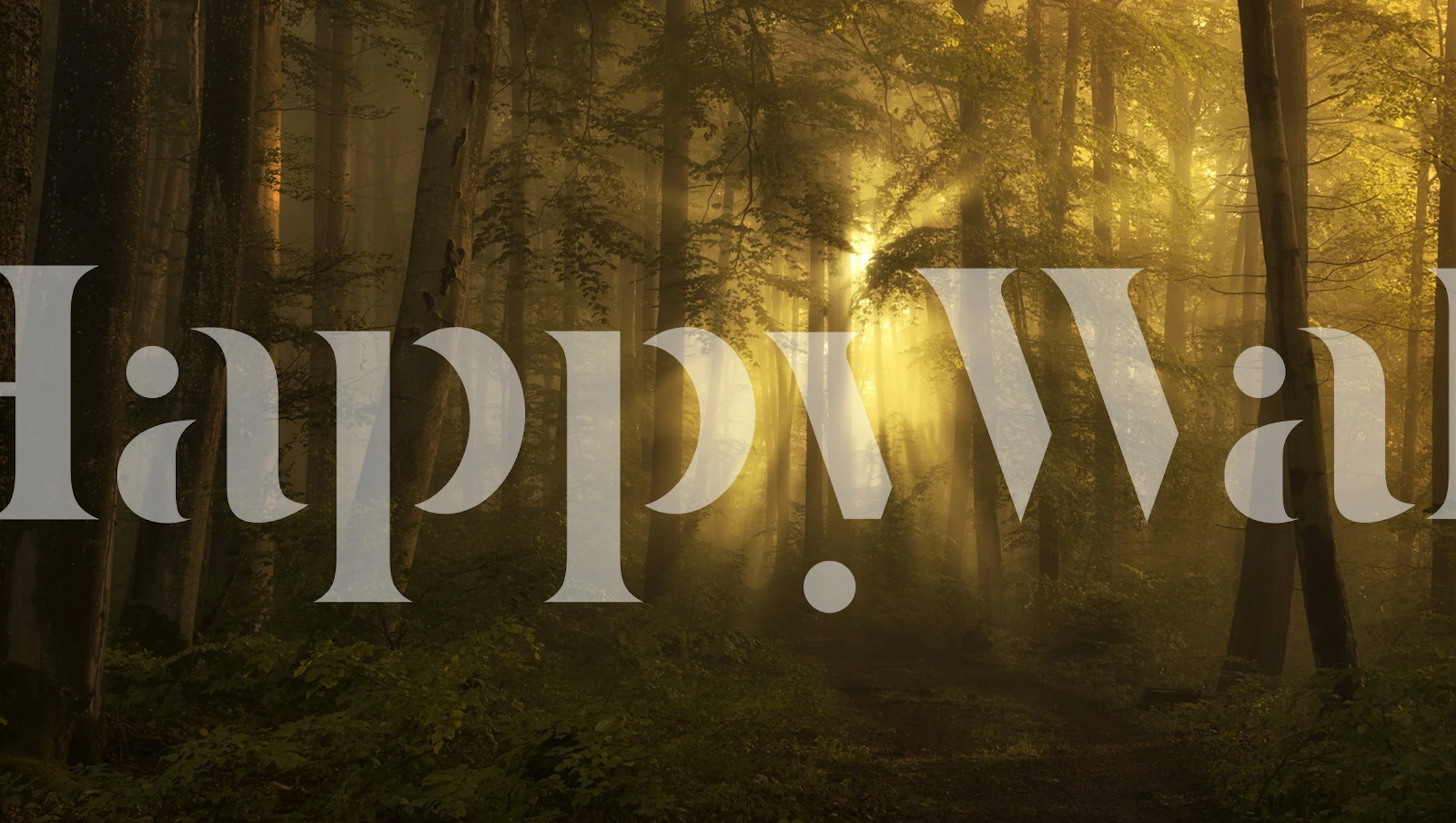 Mystická nástěnná malba zlatého lesa se slunečním světlem filtrujícím stromy