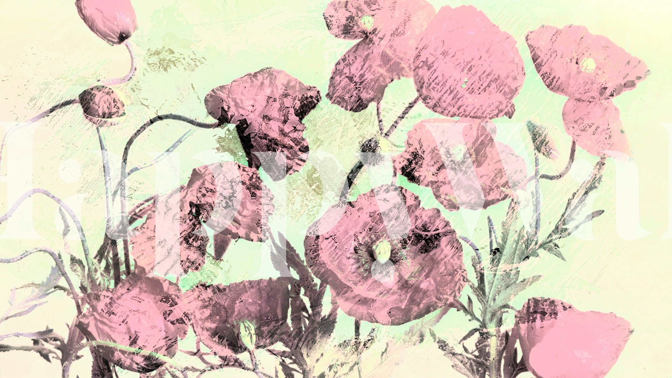 Pink floral pattern on a soft green background wallpaper