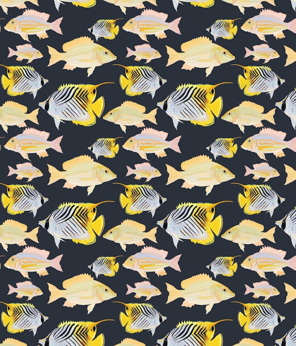 Sand Bream - The Fish 07