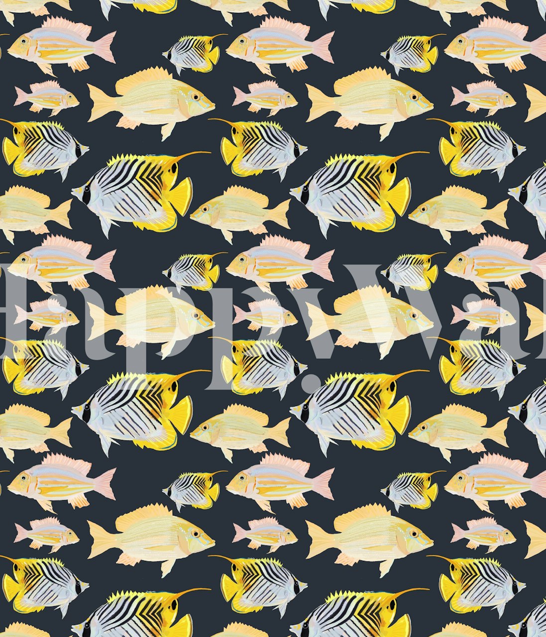 Colorful fish pattern on dark background wallpaper