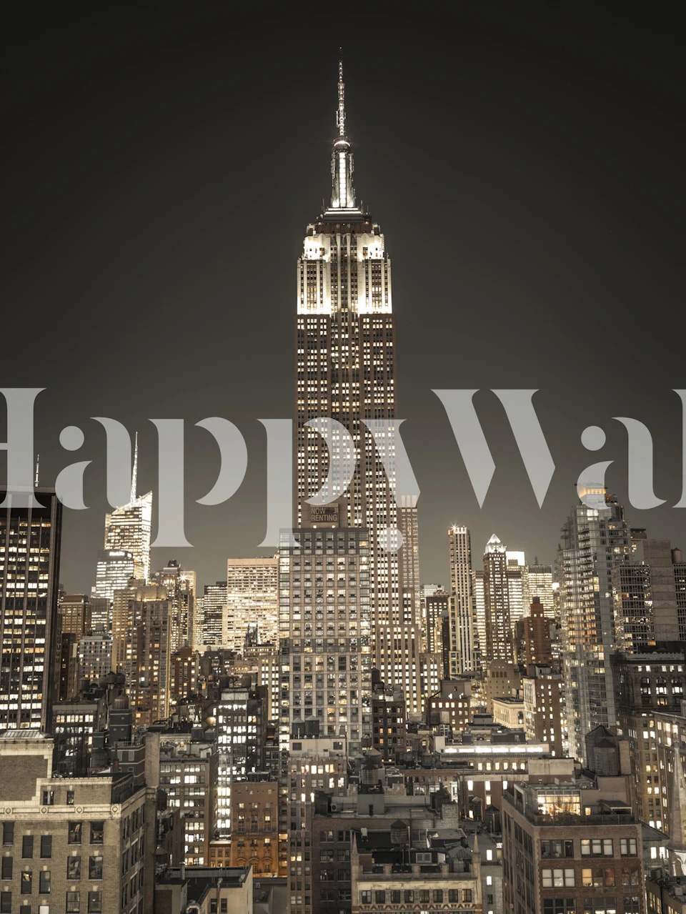 Black and white city skyline featuring Empire State Building, night scene wallpaper