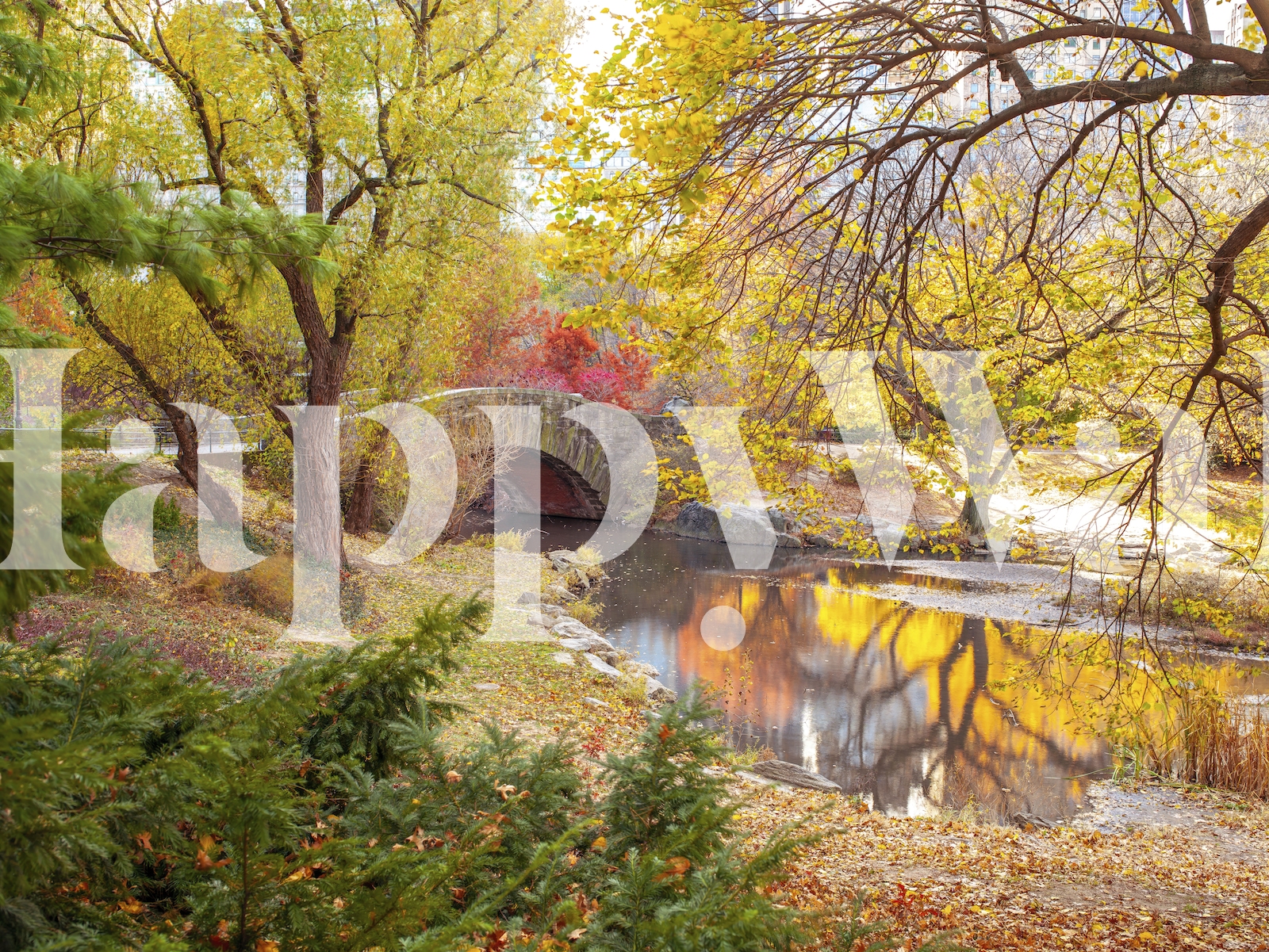 Autumnal Elegance Wallpaper  Buy Online at Happywall