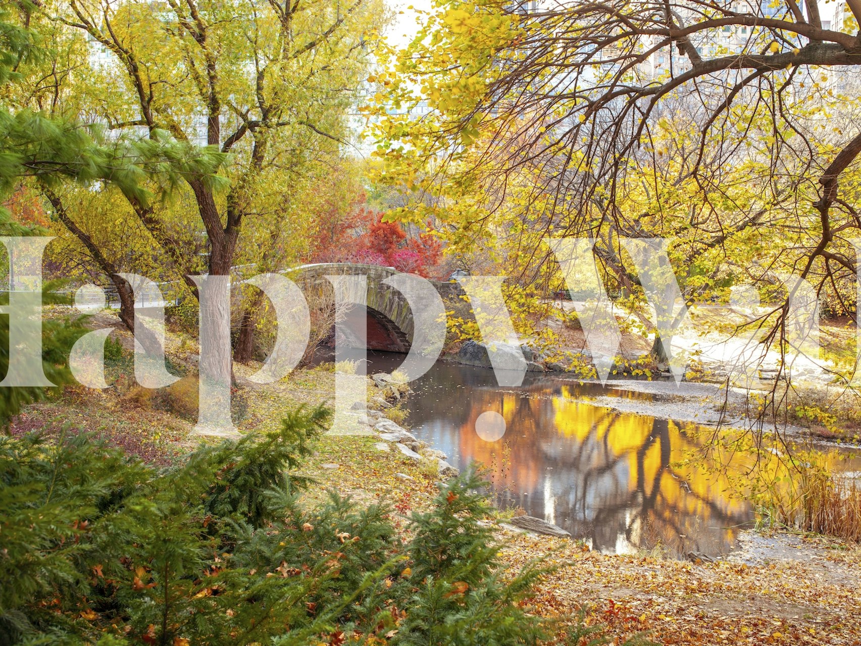 Papel de parede Autumnal Elegance em um quarto