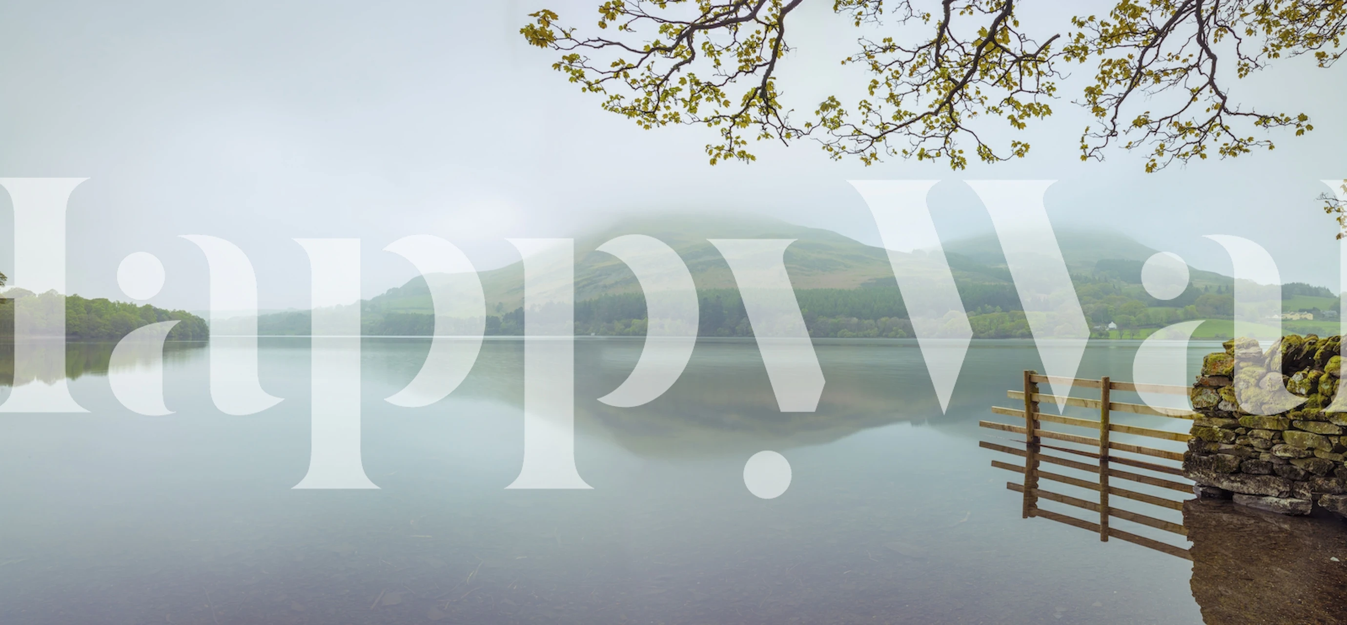 papier peint Nature's Retreat dans une pièce