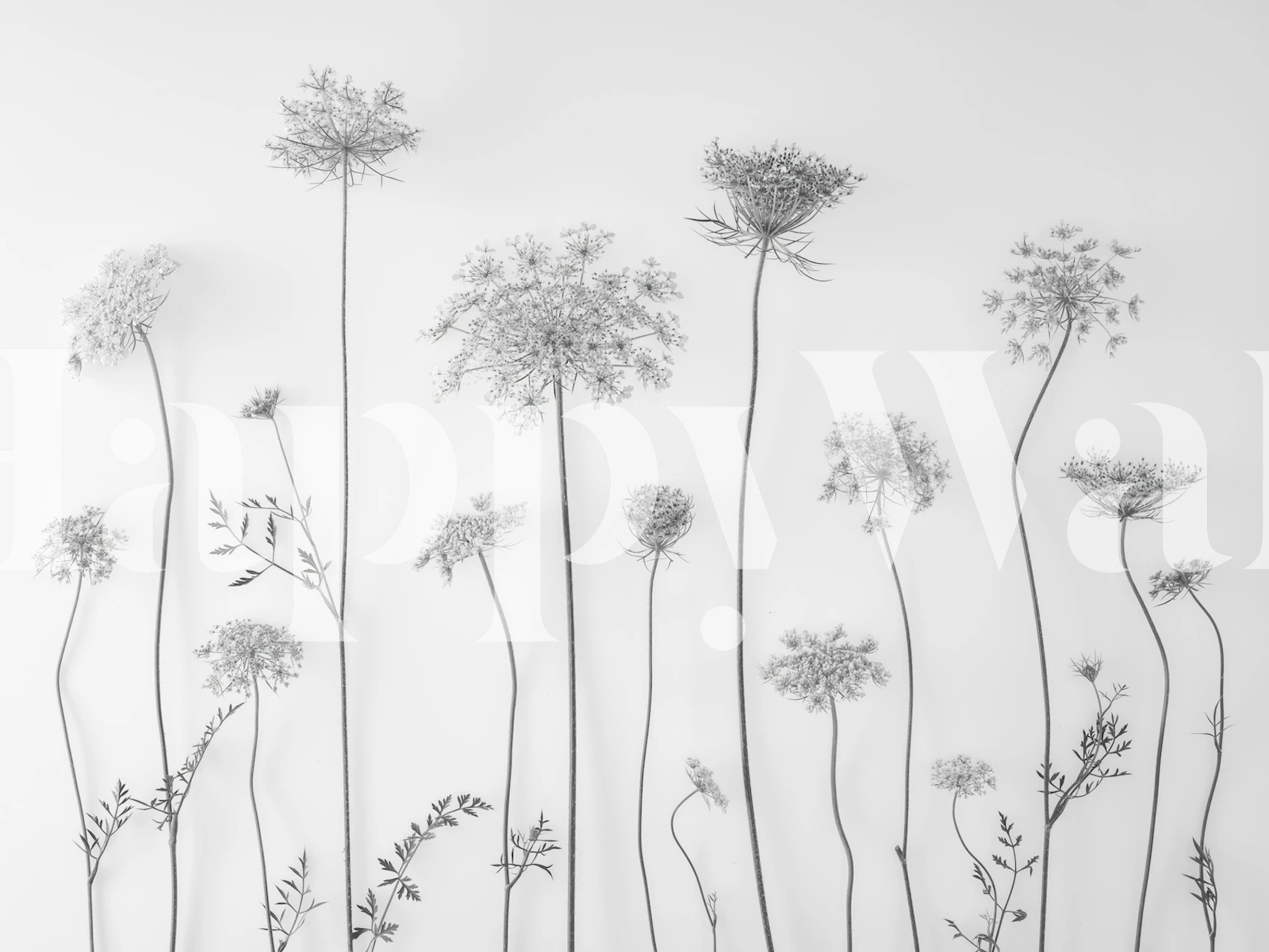 Wildflower Grace tapettisuunnittelu huoneessa