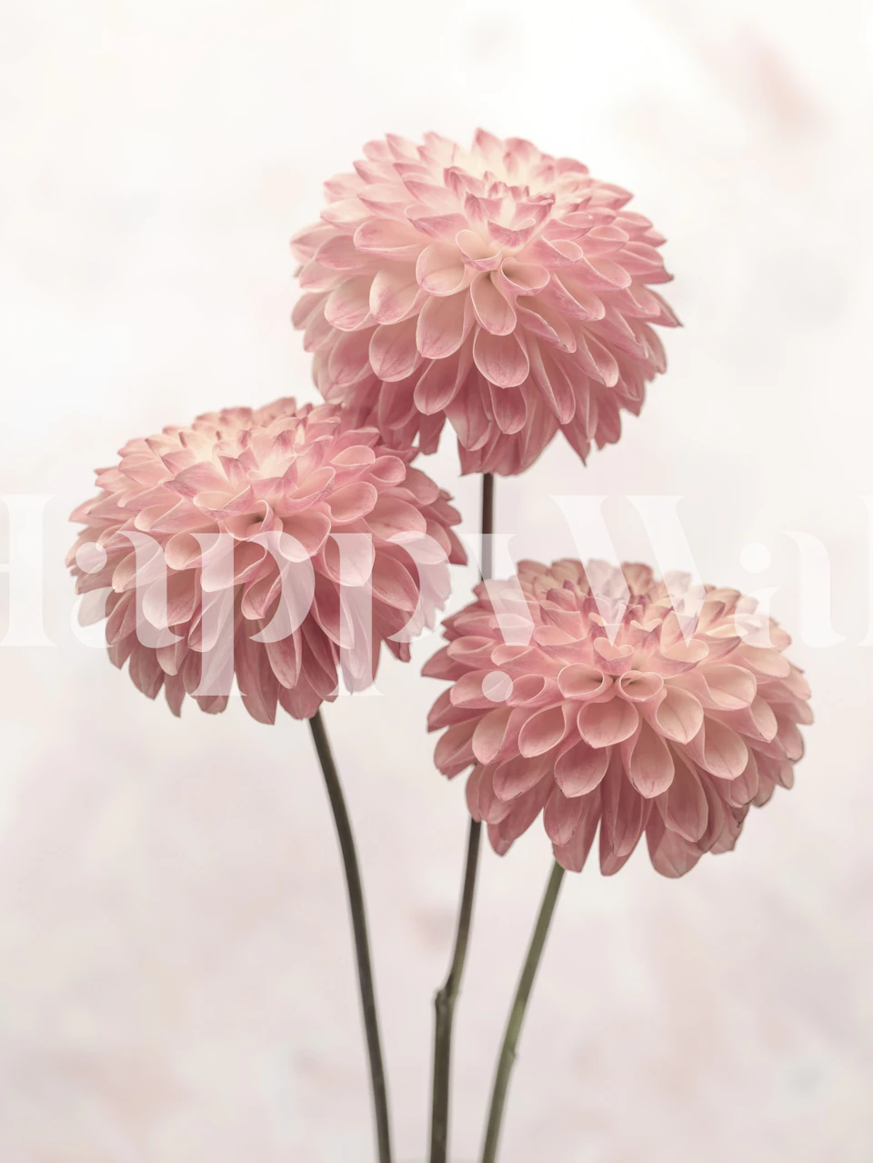 Carta da parati Elegant Contrasts in una stanza