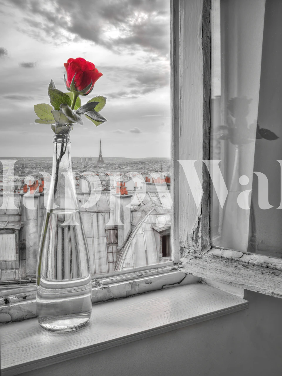 Paris Love wallpaper featuring a rose and Eiffel Tower