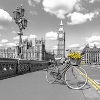 Floral Journey of Westminster behang