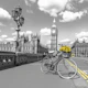 Floral Journey of Westminster