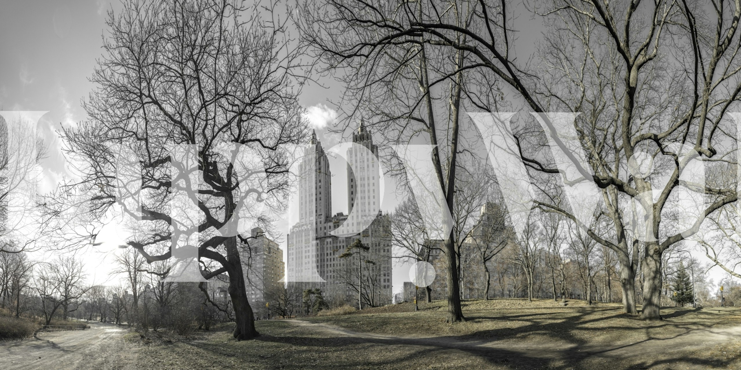 Central Park's Gilded Neighbor wallpaper design