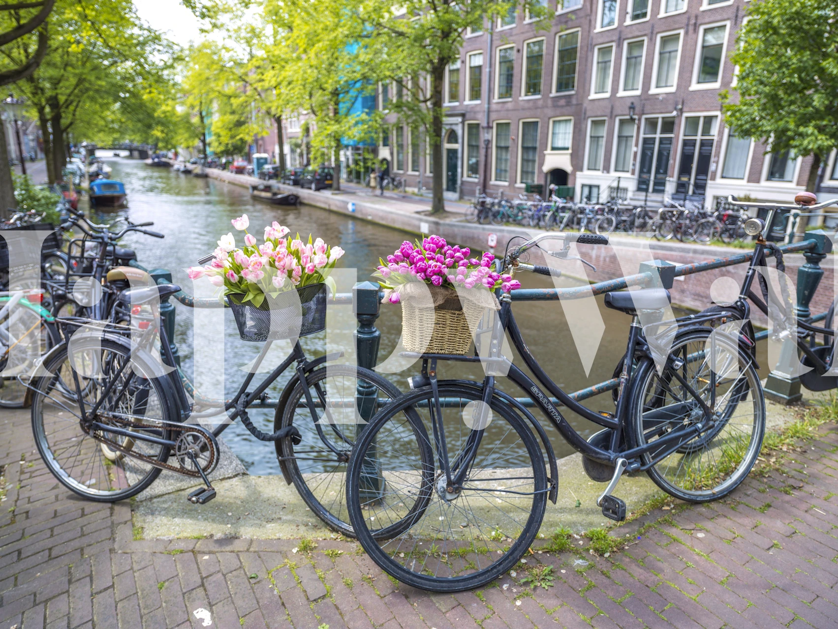 Papel de parede Canal Charms com bicicletas e flores