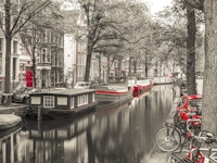 Amsterdam Canal tapete