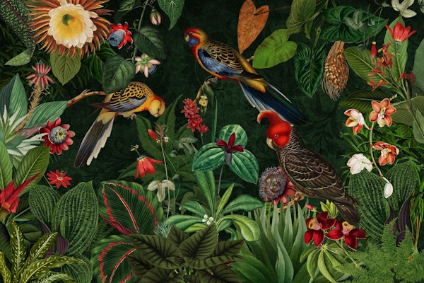 Moody Botanical Midnight Jungle Birds