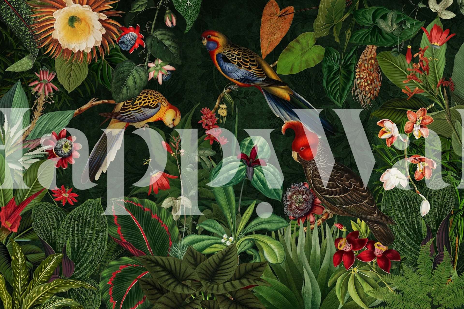 Moody Botanical Midnight Jungle Birds