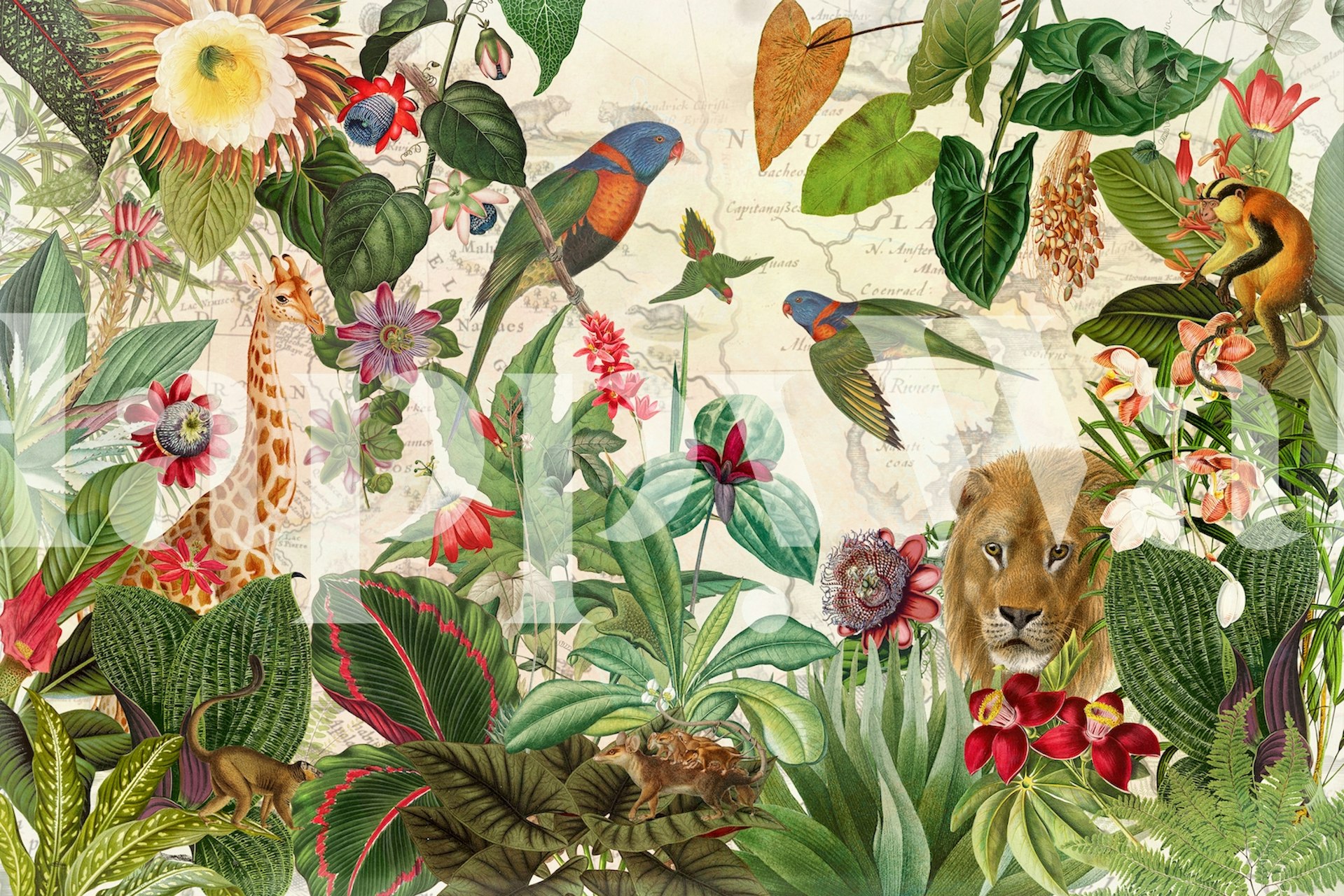 Papel tapiz Exotic Lush Jungle con animales salvajes y plantas