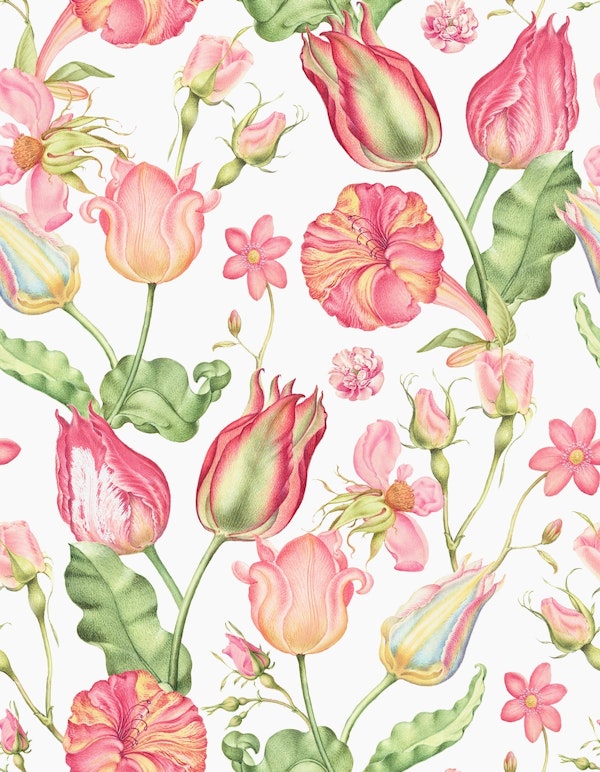 Magical Joris Hoefnagel Spring Garden