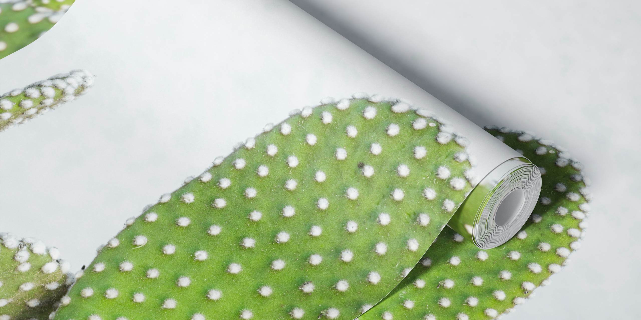 Cacti with frost-like crystals wall mural