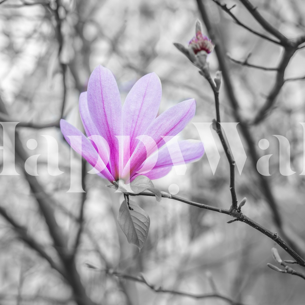 Delicate Magnificence floral ταπετσαρία σε ένα δωμάτιο