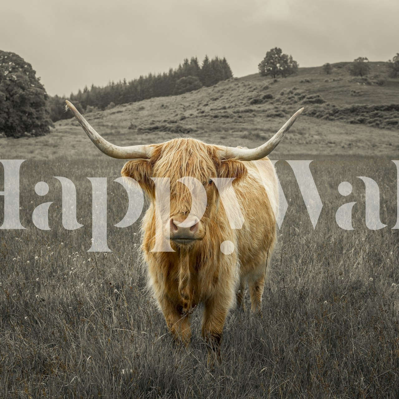 Guardians of the Highlands behang in een kamer