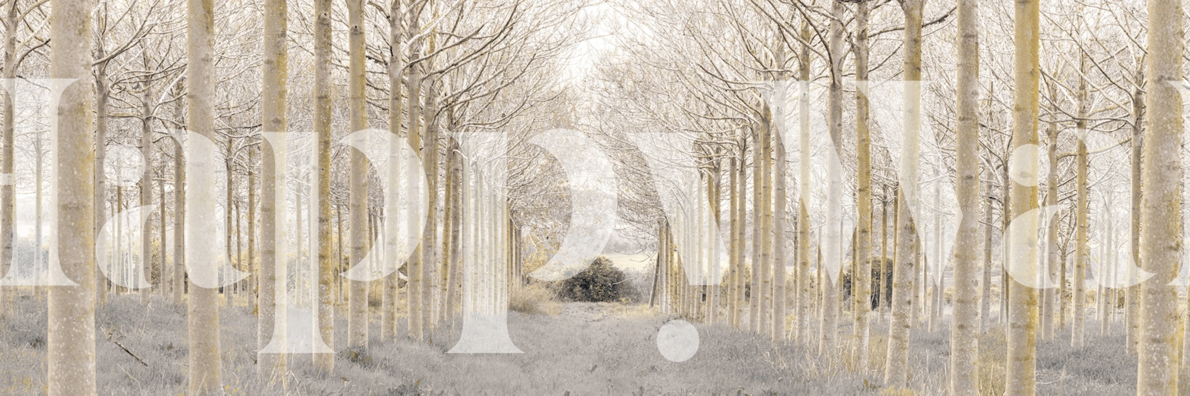 Pathway through rows of trees in soft grey and beige tones wallpaper