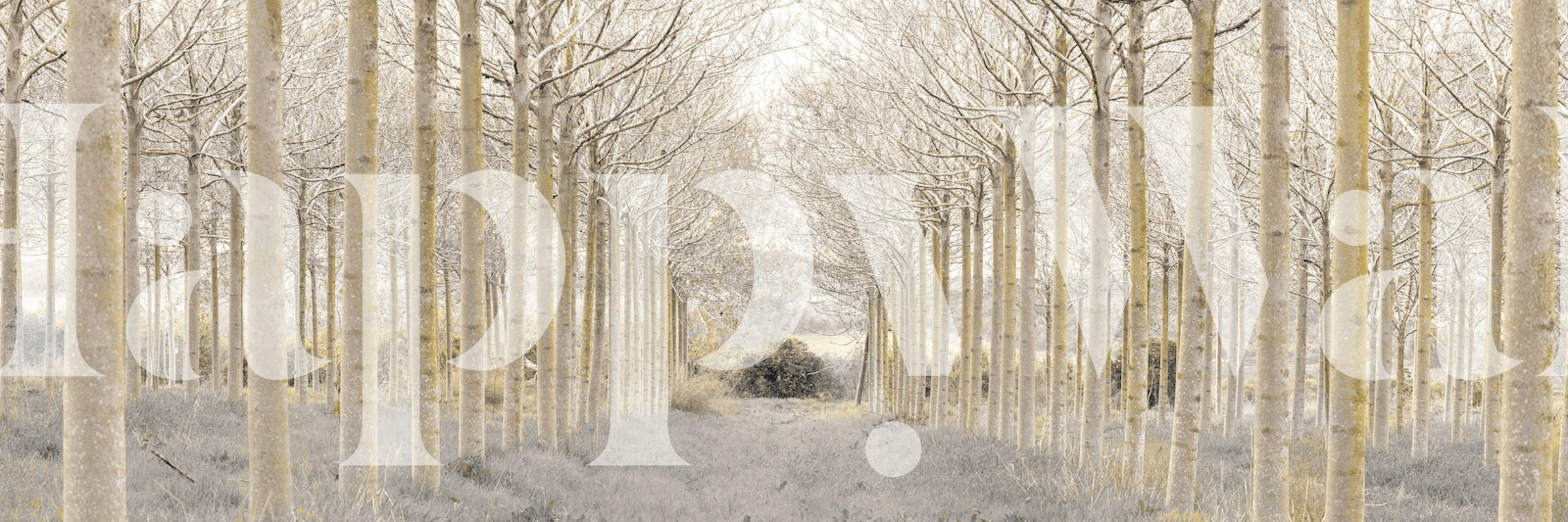 Pathway through rows of trees in soft grey and beige tones wallpaper