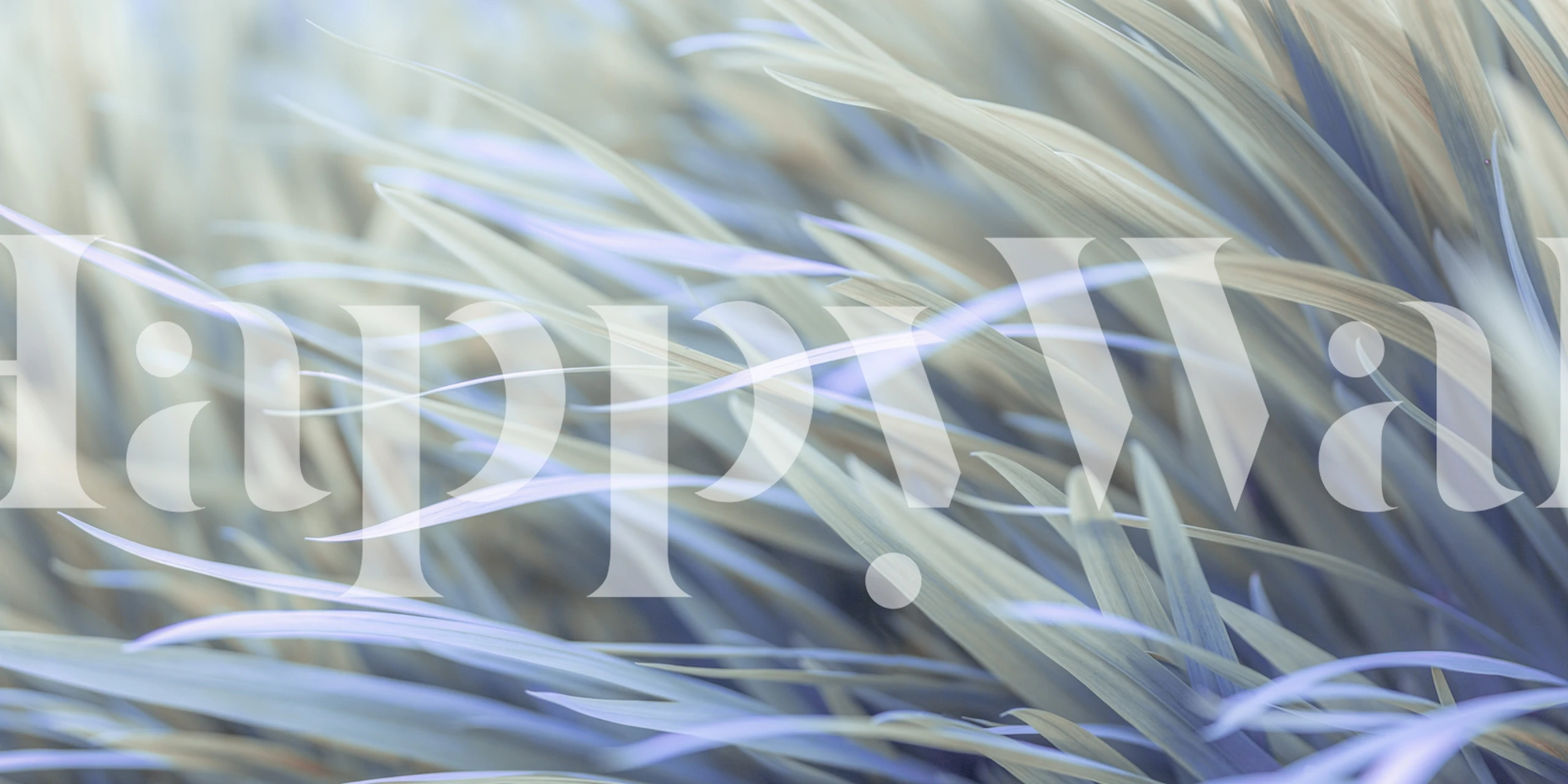 Tapeta Wavy Grass v moderní místnosti