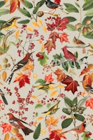 Autumn Bird Impression In Bright Colors ταπετσαρία
