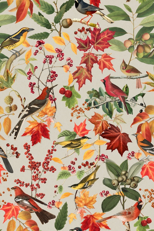 Autumn Bird Impression In Bright Colors