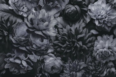 Mural