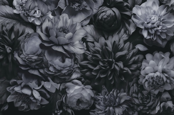 Opulent Baroque Flowers Moody Botanay Grey