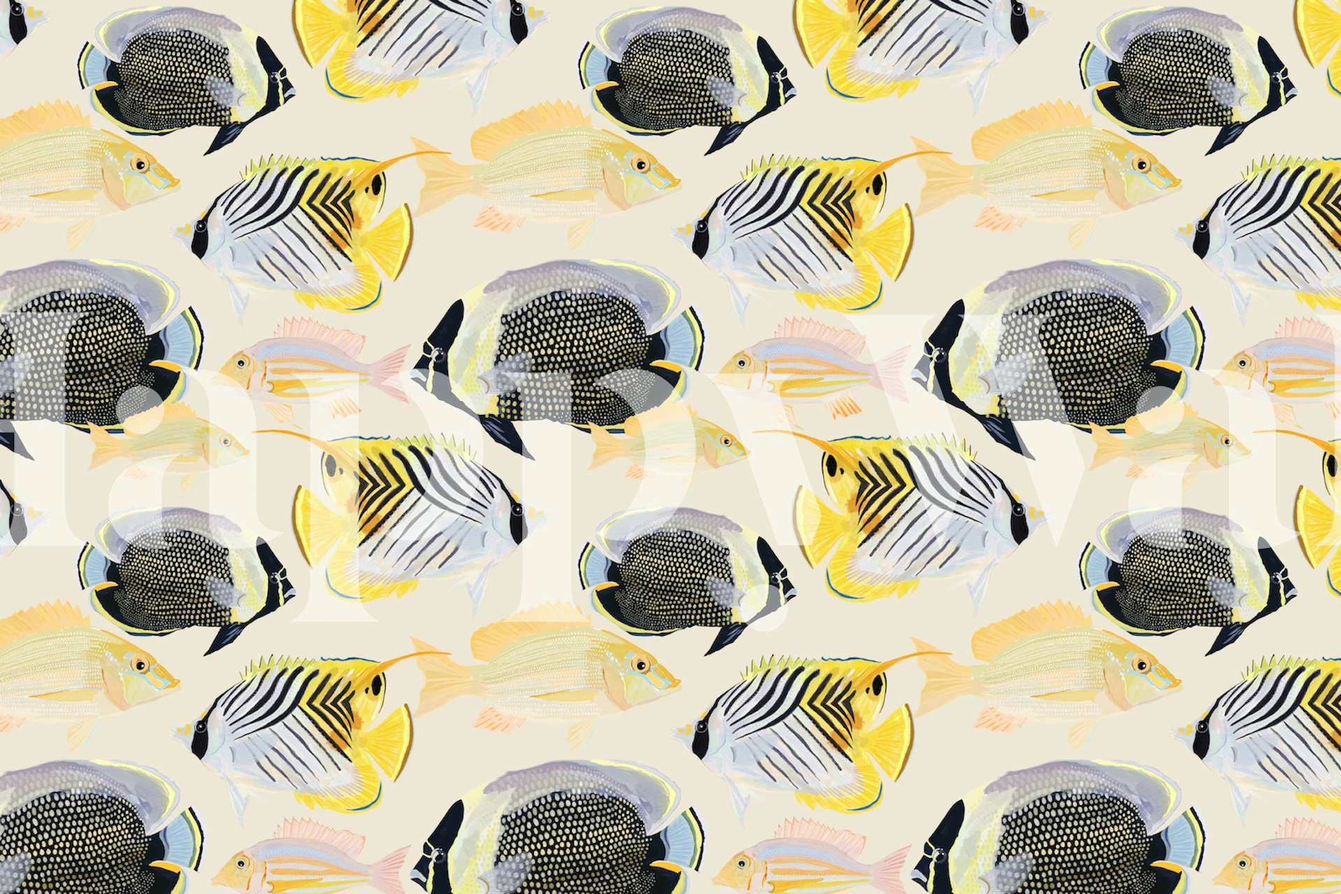 Barevná rybí tapeta v nastavení místnosti