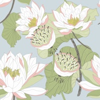 Nymphaea 02 wallpaper