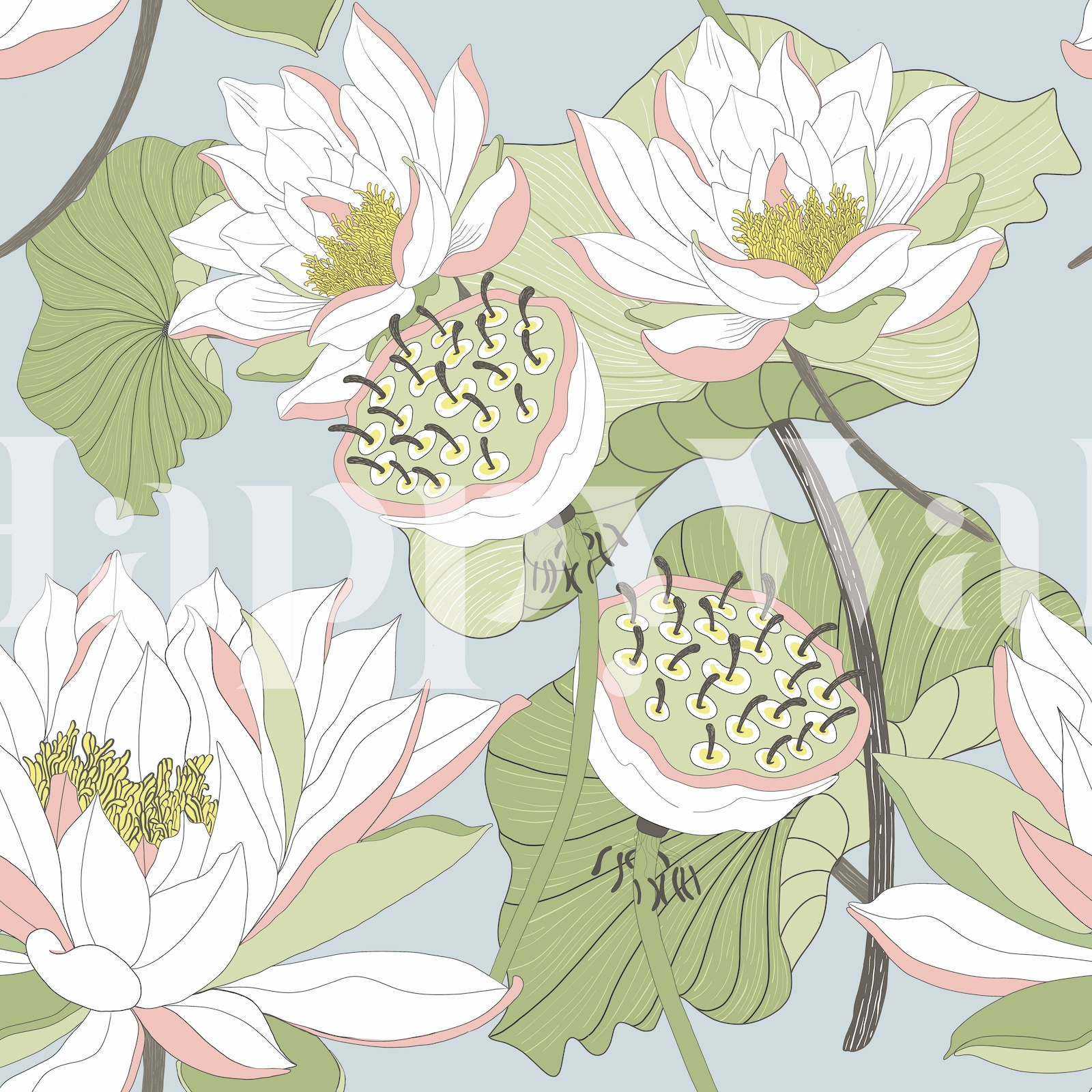 Buy Nymphaea-02 Wallpaper Online | Happywall